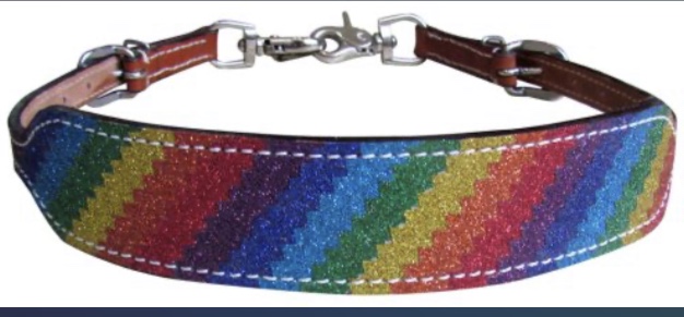 176602 rainbow wither strap